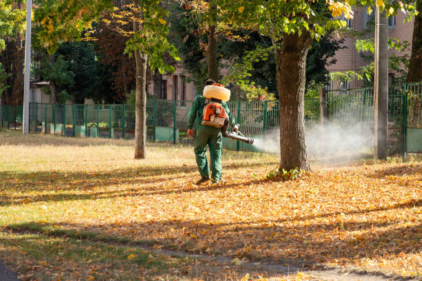 Best Affordable Pest Control Services  in North York, PA