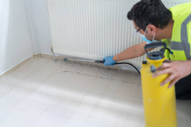 North York, PA Pest Control Pros
